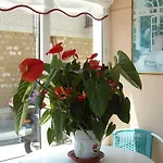 Hospedaje Argoños