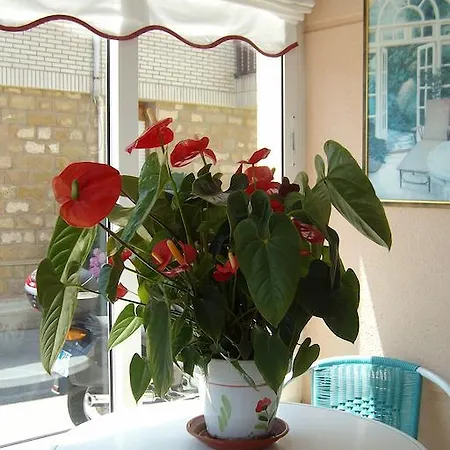 Hospedaje Argoños